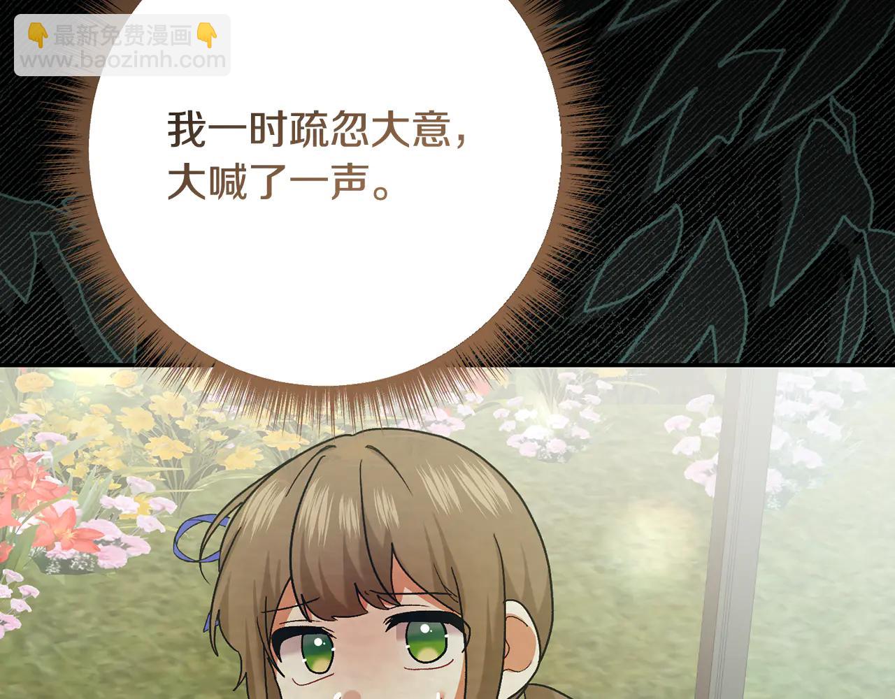 第234话 完美计划111