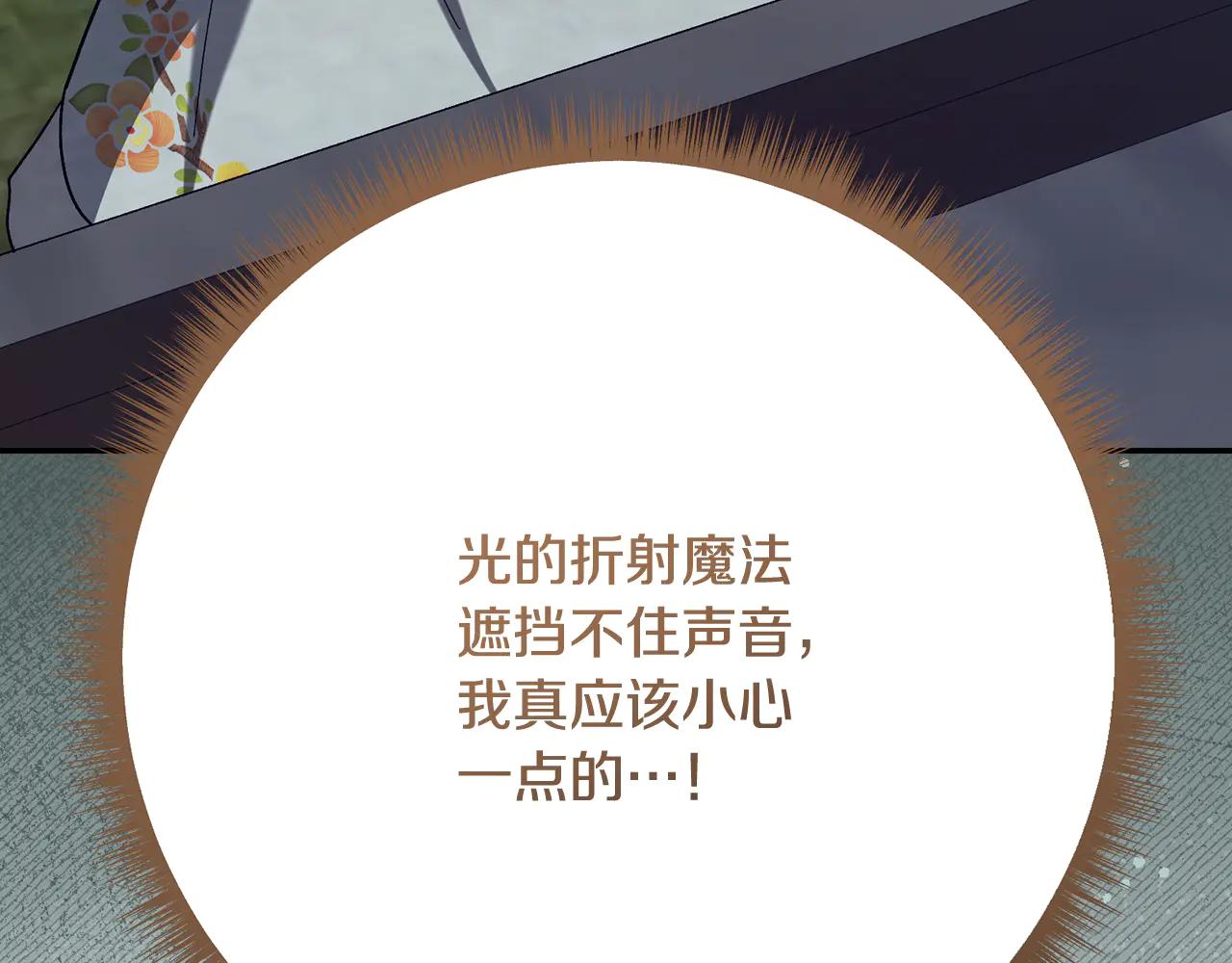 第234话 完美计划113