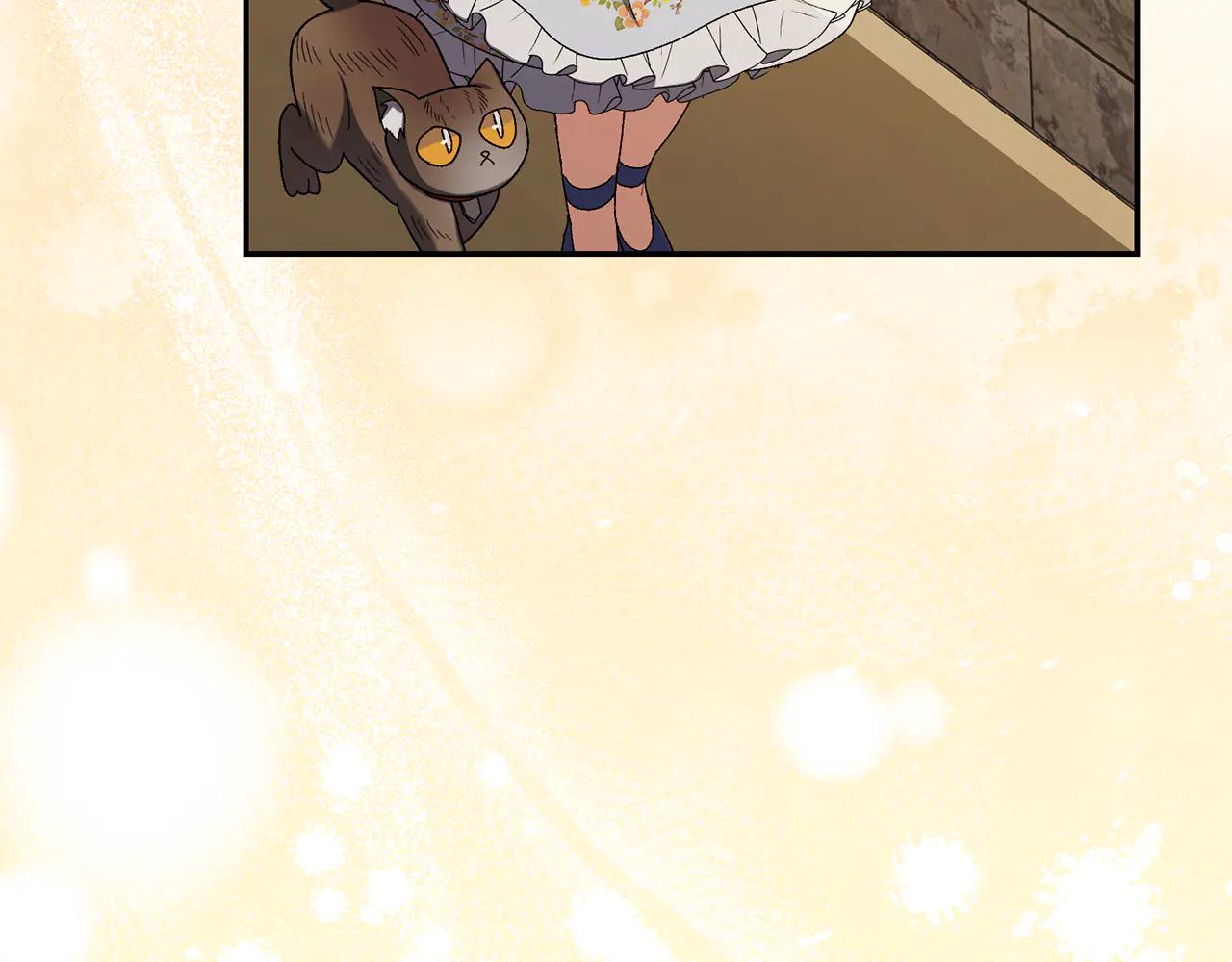第234话 完美计划42