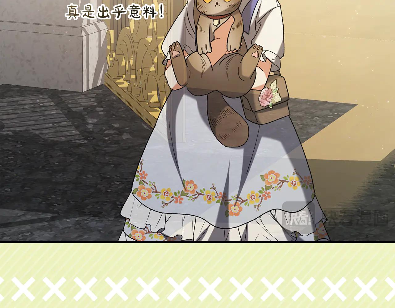 第234话 完美计划52