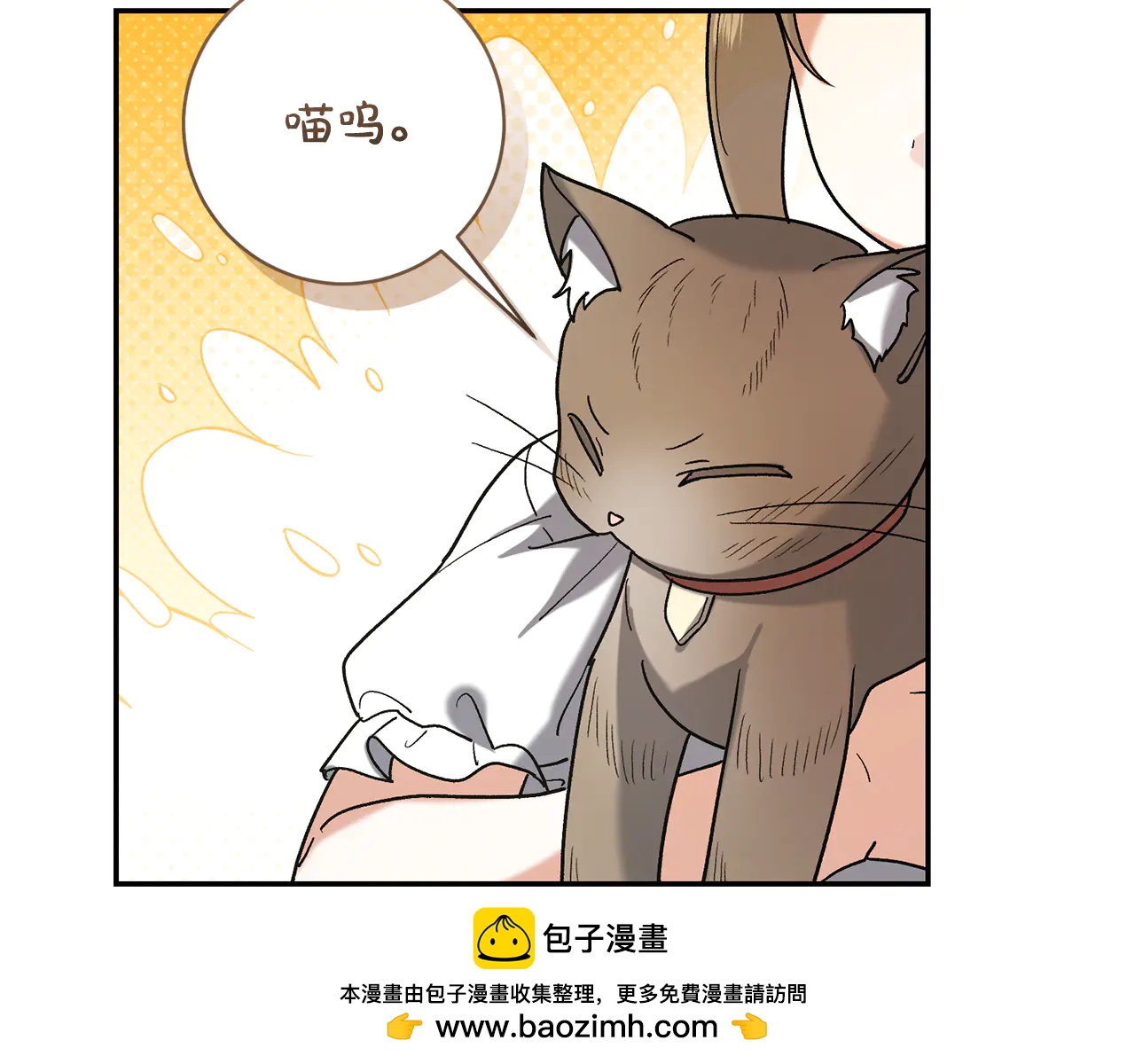 第234话 完美计划53