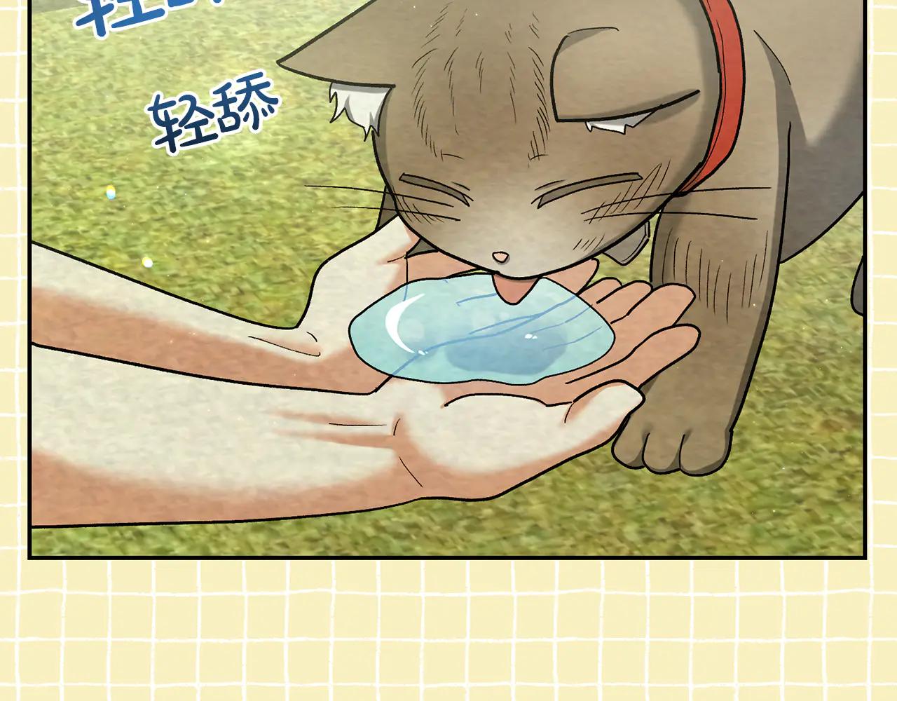 第234话 完美计划64