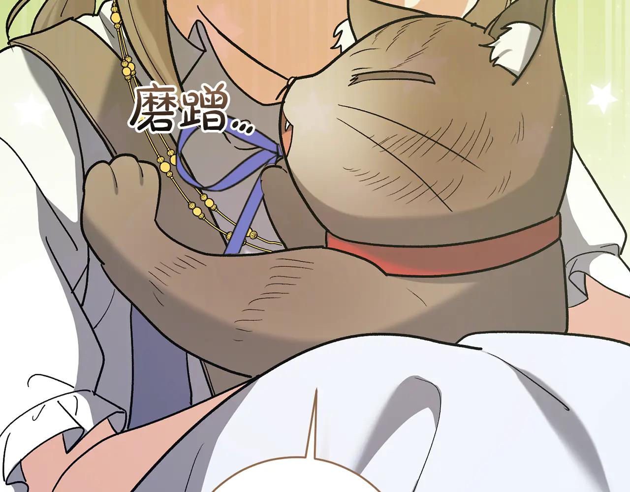 第234话 完美计划86