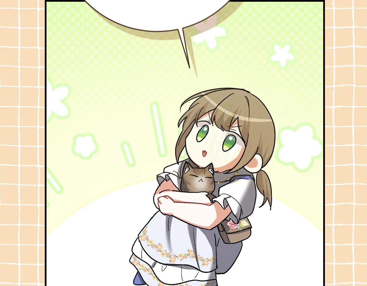 第234话 完美计划93