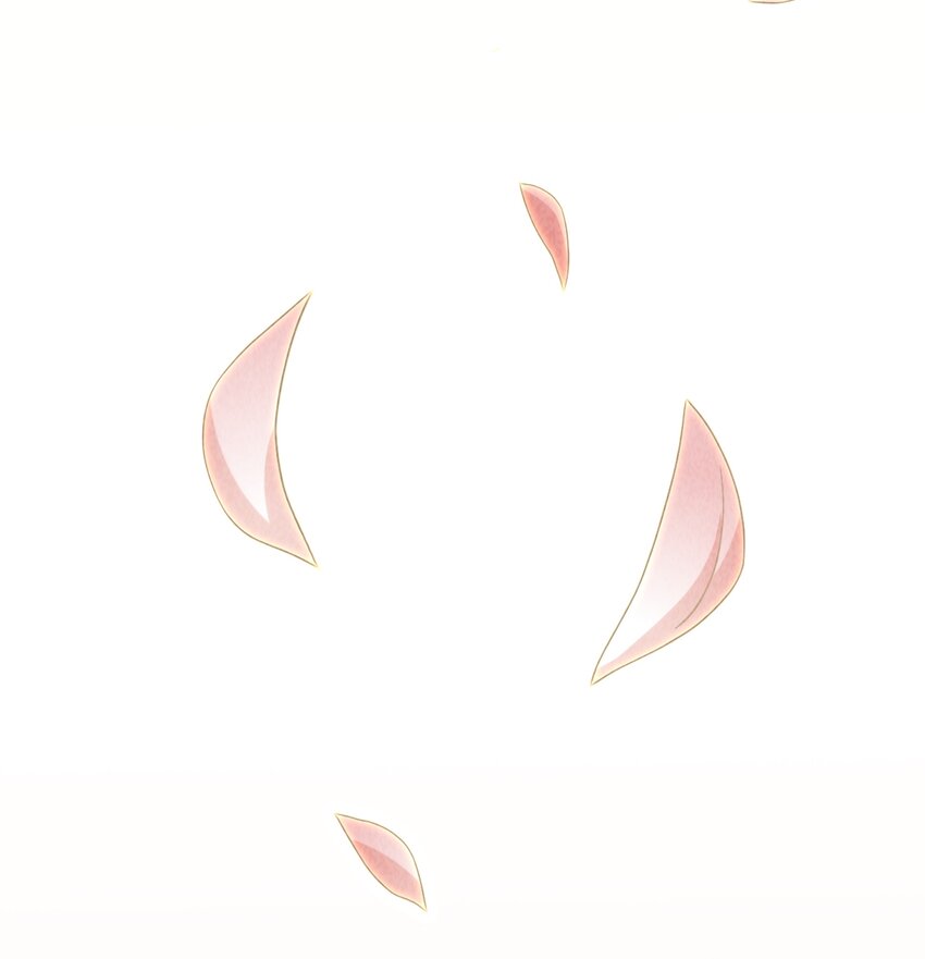 19 专业团队来了18
