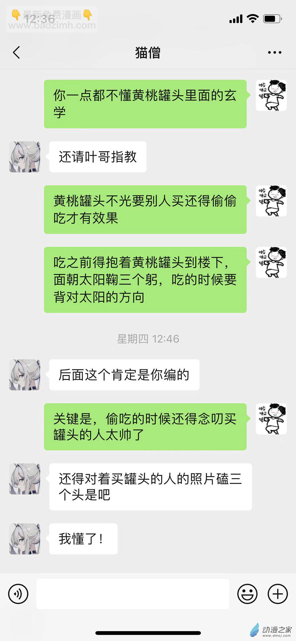 给猫僧的礼物1