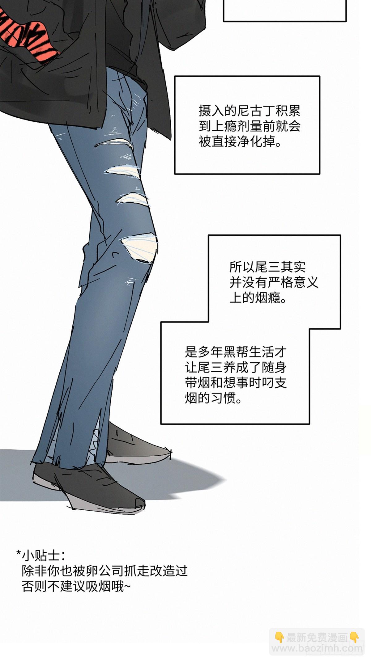 chapter · 08636