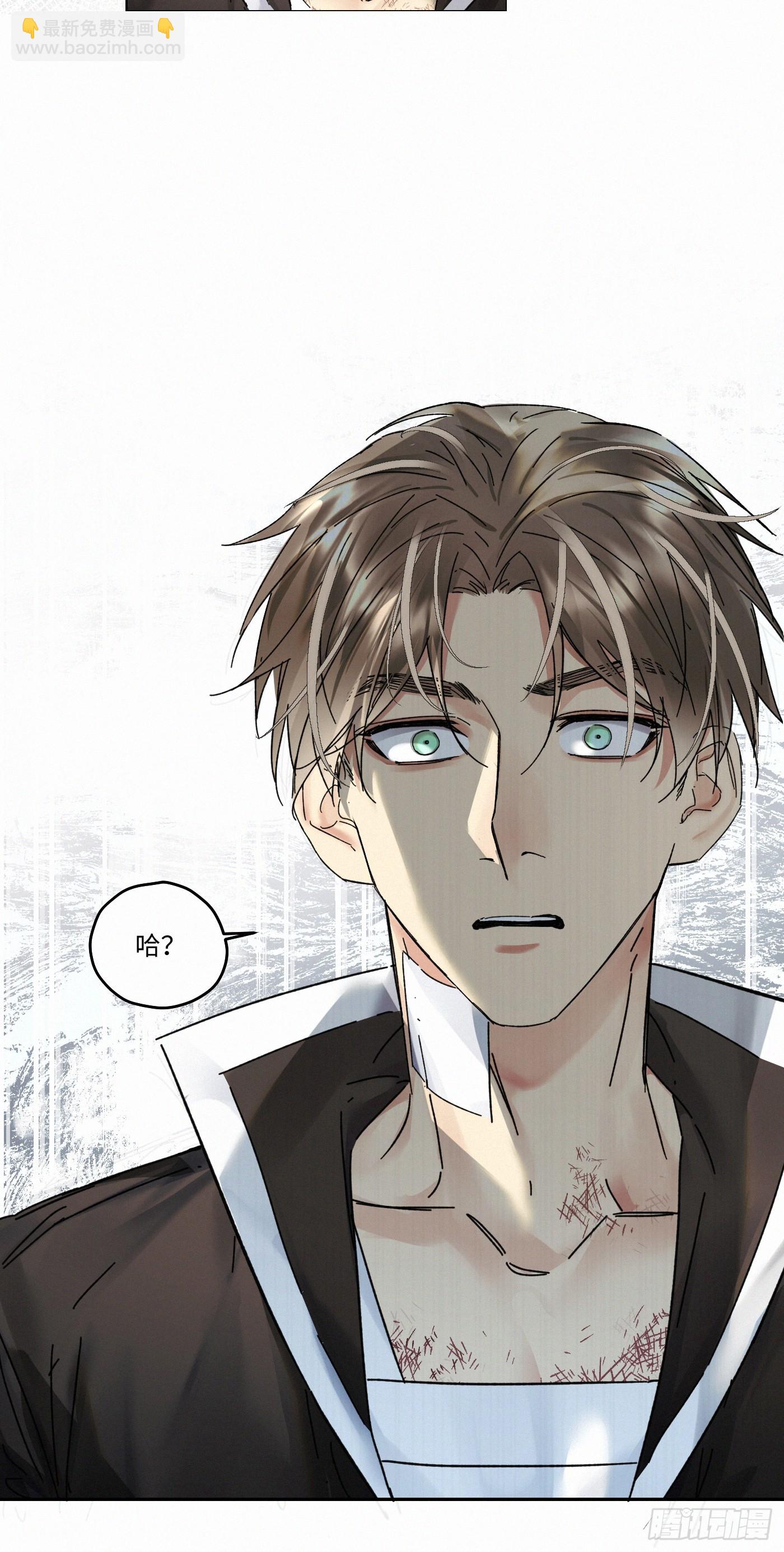 chapter · 09315