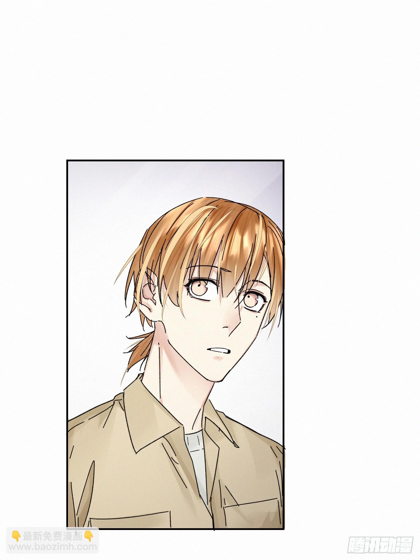 chapter · 11117