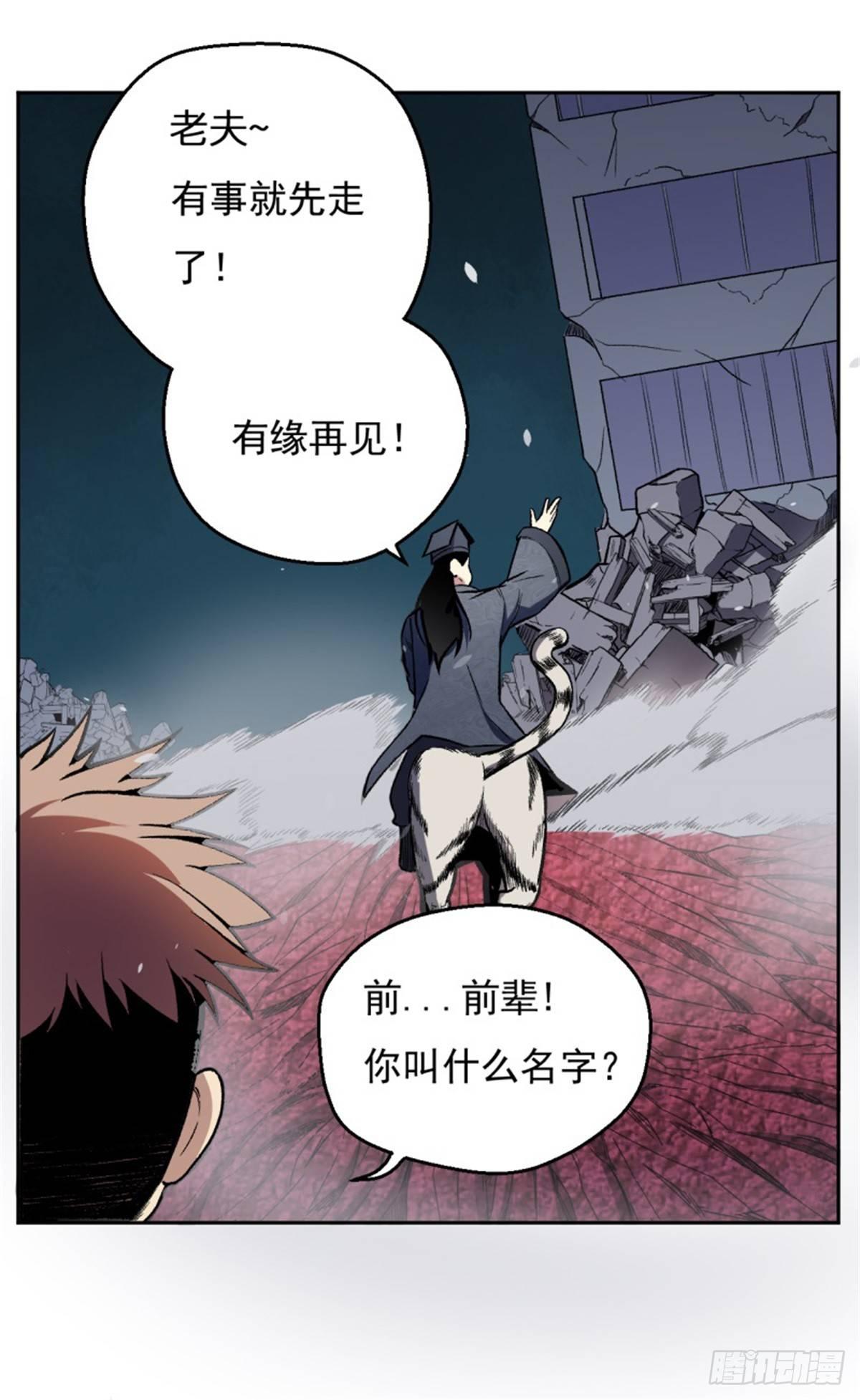 007唐泊虎33