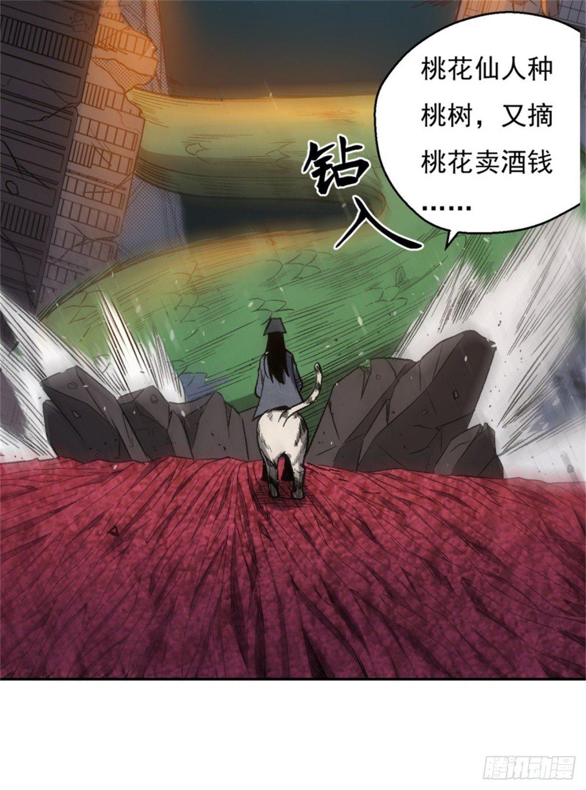 007唐泊虎39