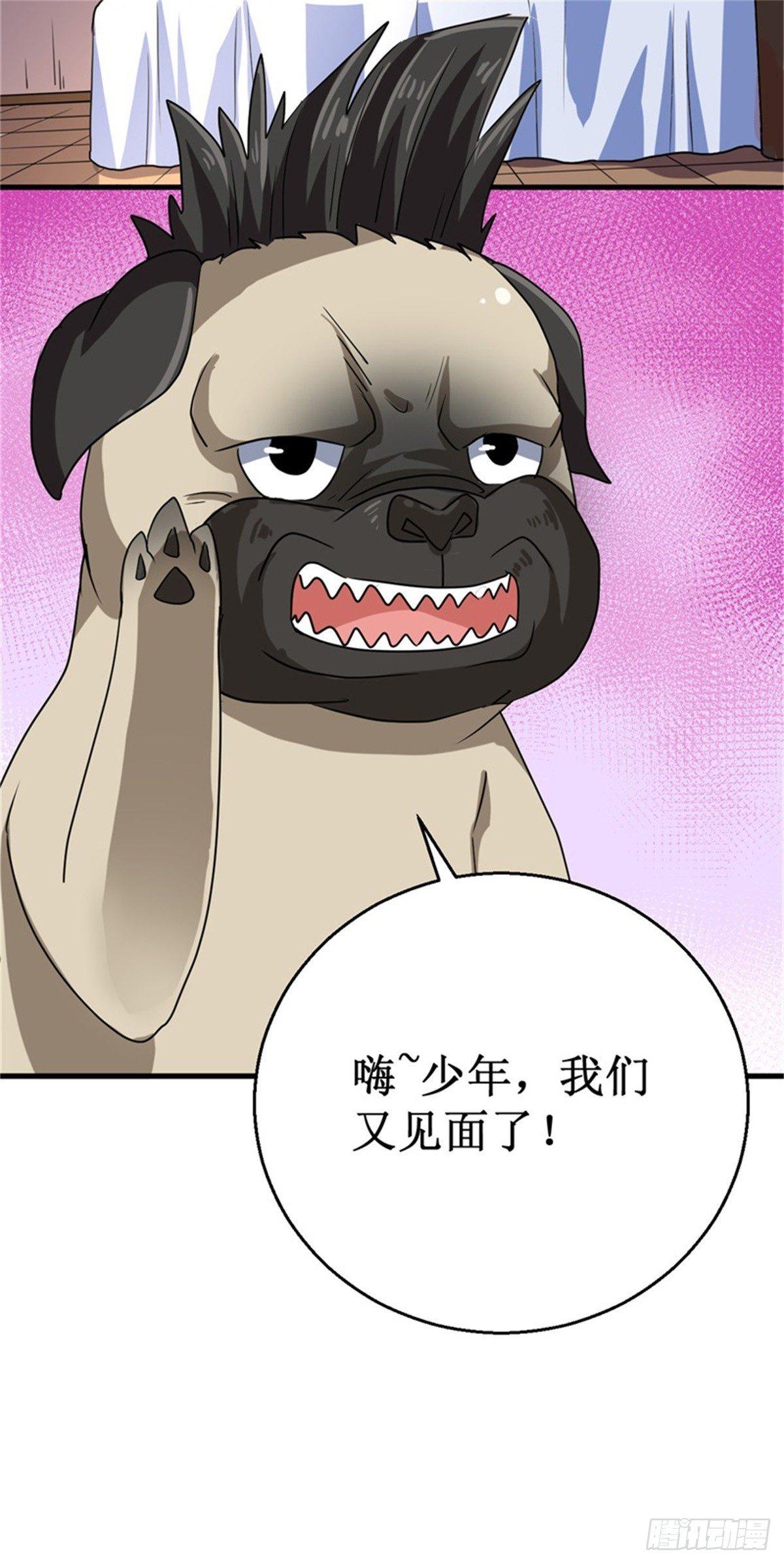 013巴哥竟是灵兽？！19