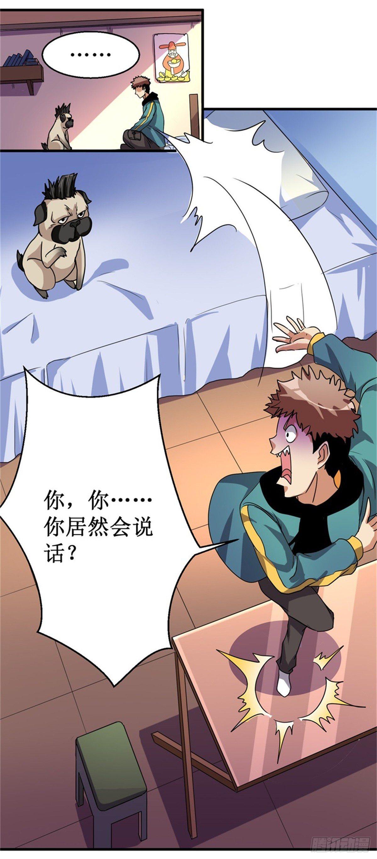 013巴哥竟是灵兽？！20