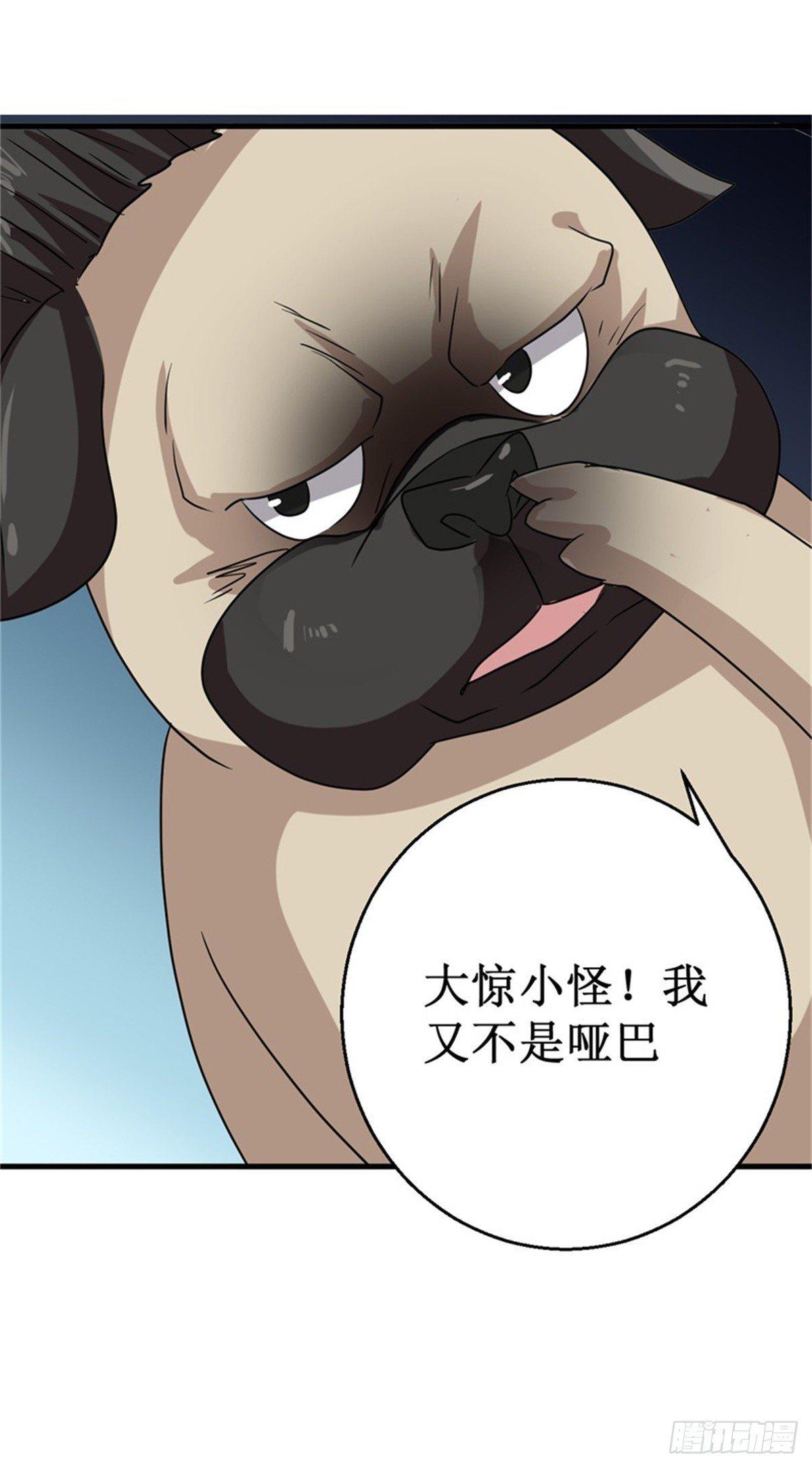 013巴哥竟是灵兽？！21