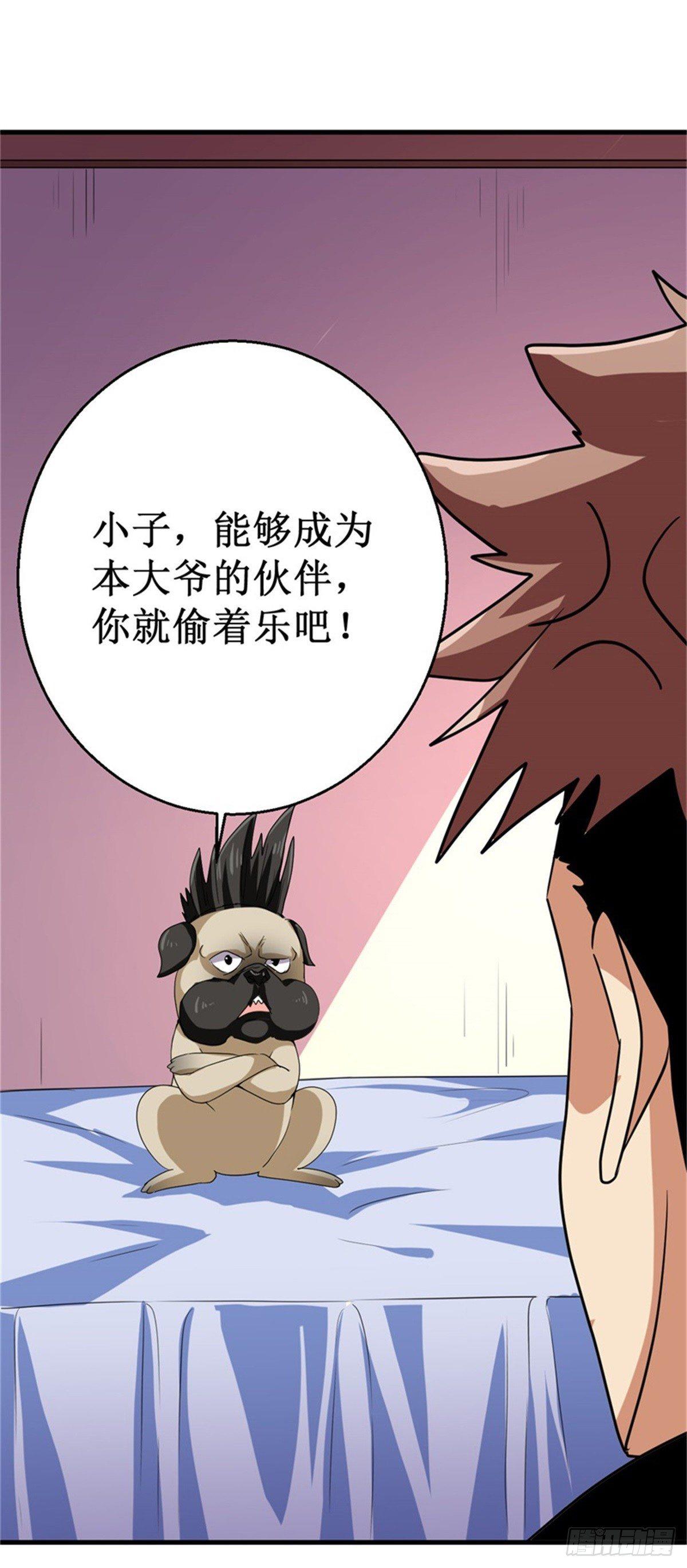 013巴哥竟是灵兽？！32