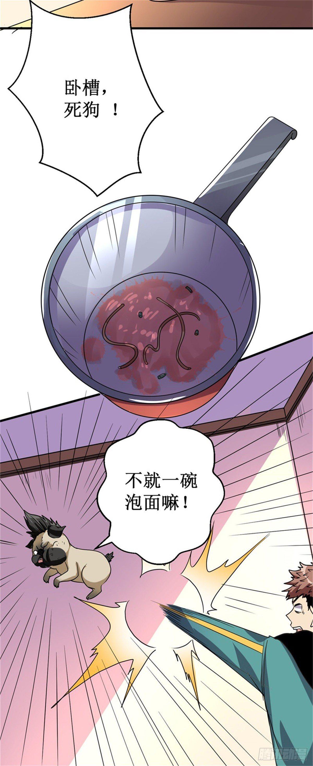 013巴哥竟是灵兽？！37