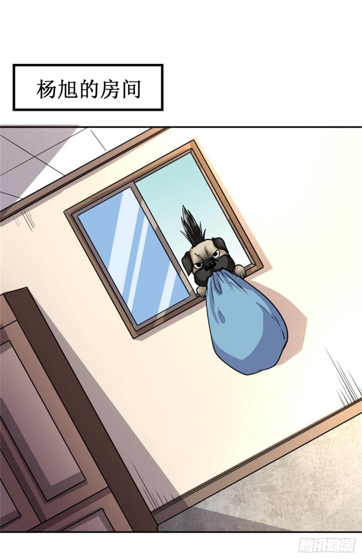 016我认证了D级？27