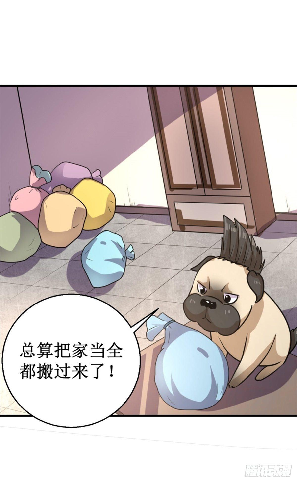 016我认证了D级？28