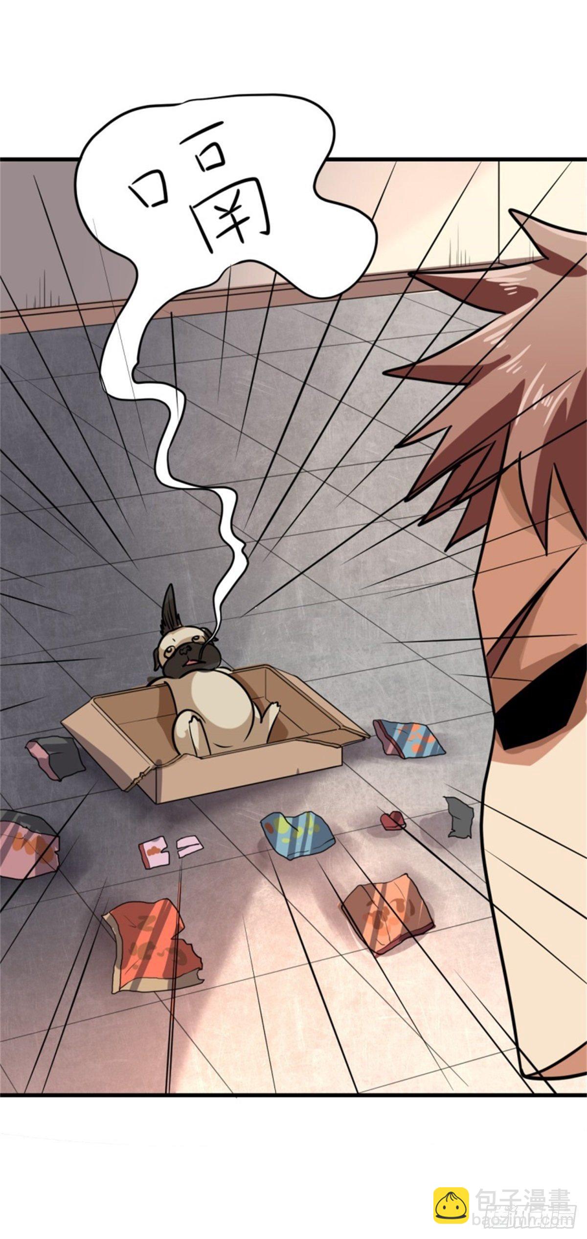 016我认证了D级？35