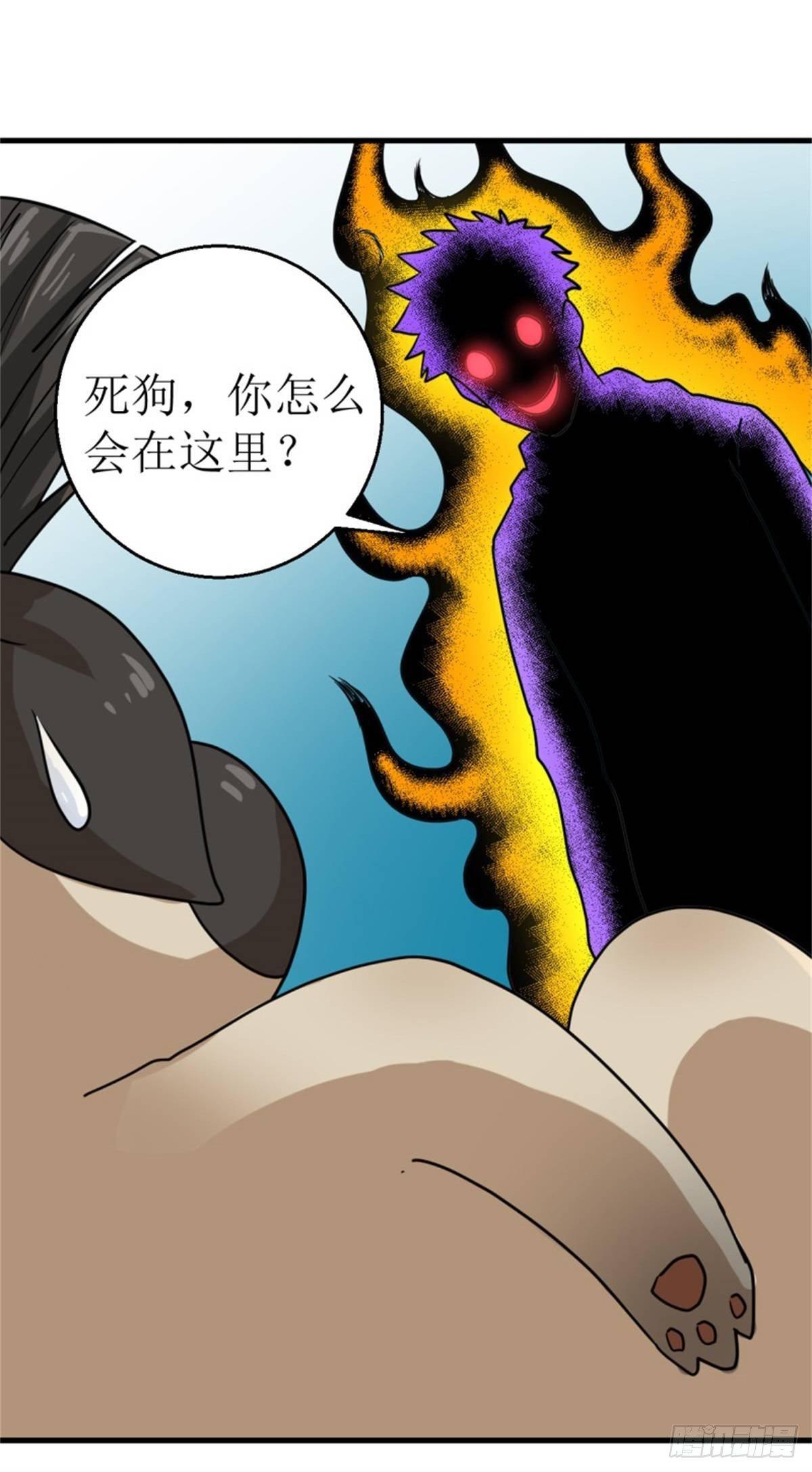 016我认证了D级？36