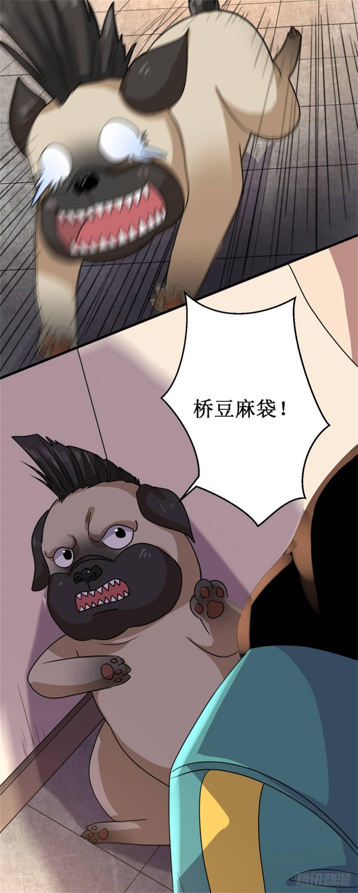 016我认证了D级？38