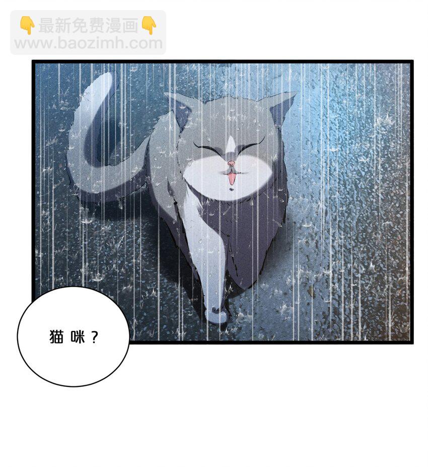 019 猫与女孩2