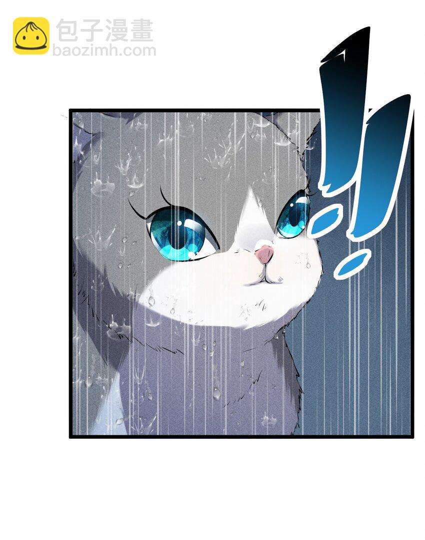 019 猫与女孩5