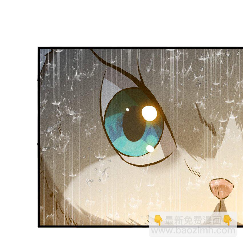 019 猫与女孩58
