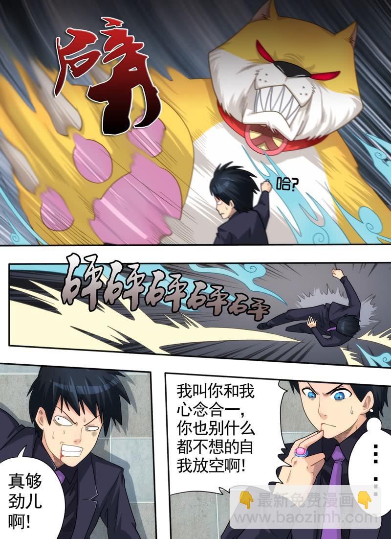盾牌与袜子2
