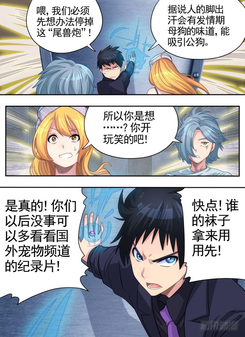 盾牌与袜子7