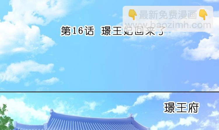 第16话 璟王妃回来了2