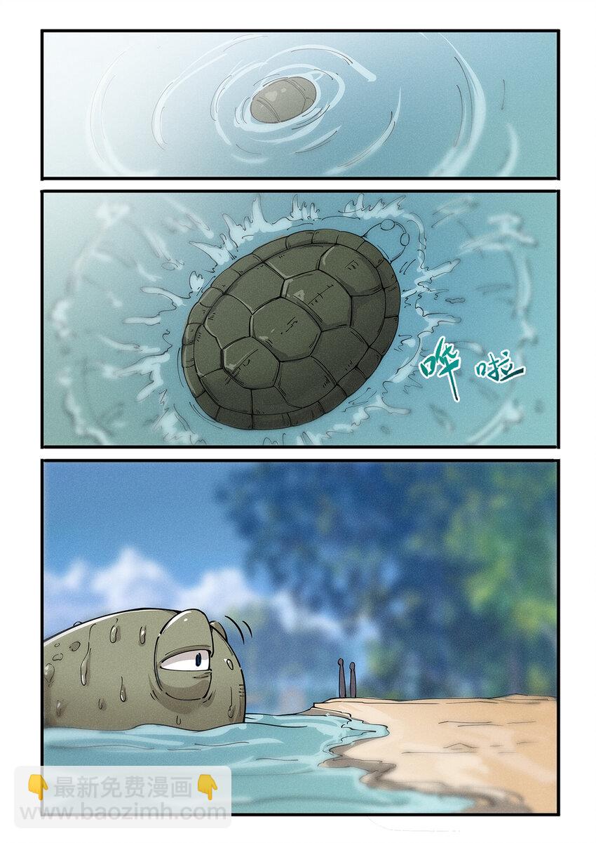 028 出门坐骑绿毛龟？9