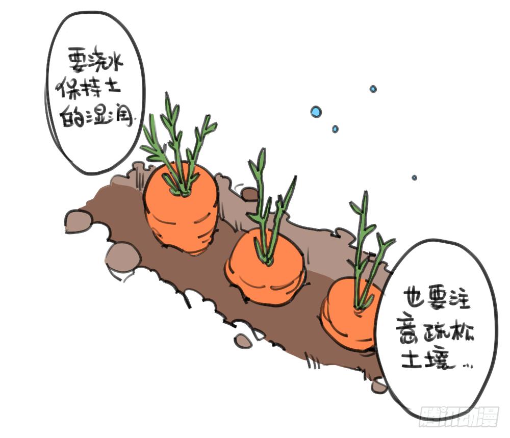 24、哇…本兔真是太惨了…太惨了4