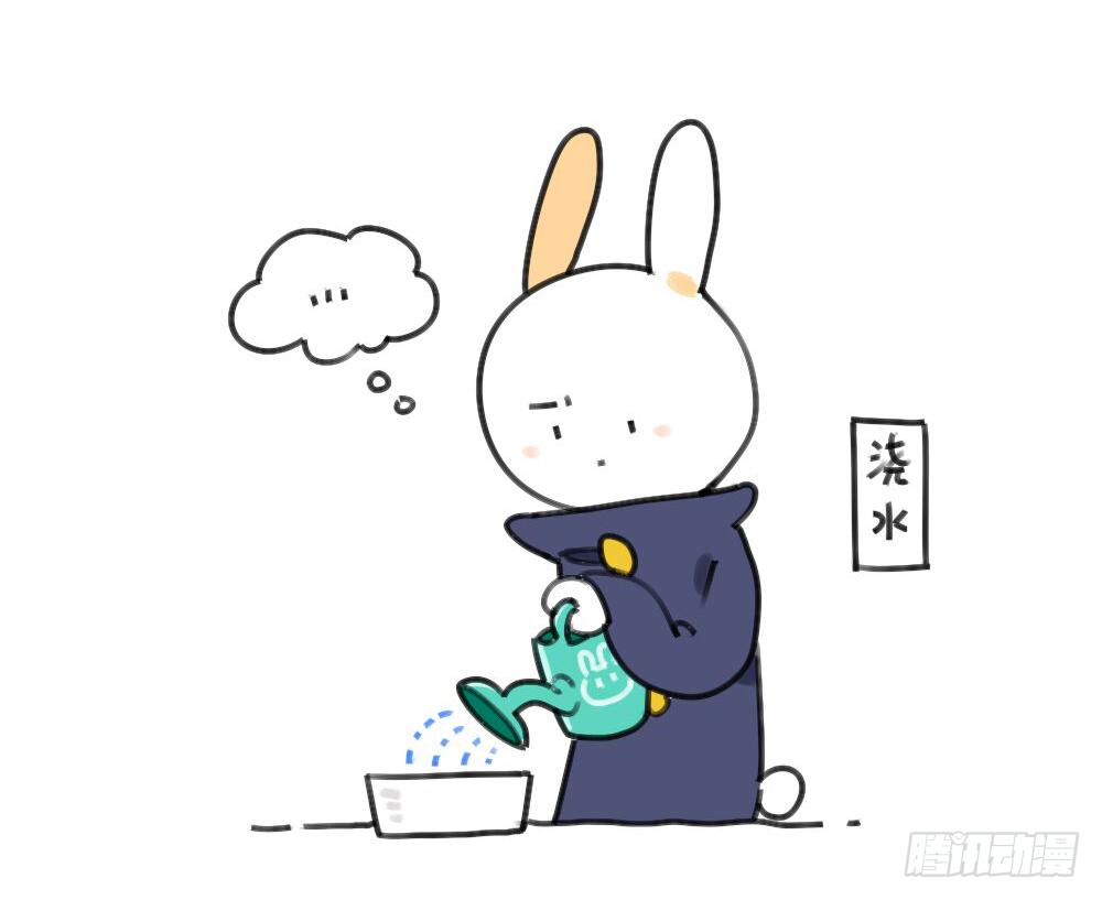 29、破耳，不按套路出牌的兔子0