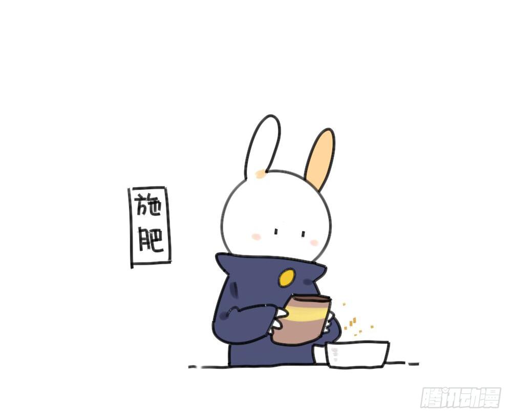 29、破耳，不按套路出牌的兔子1