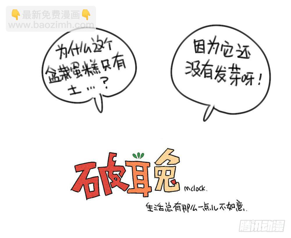 29、破耳，不按套路出牌的兔子11