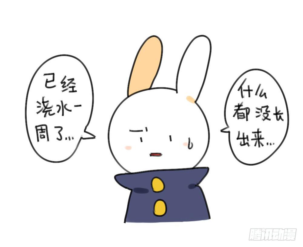 29、破耳，不按套路出牌的兔子2