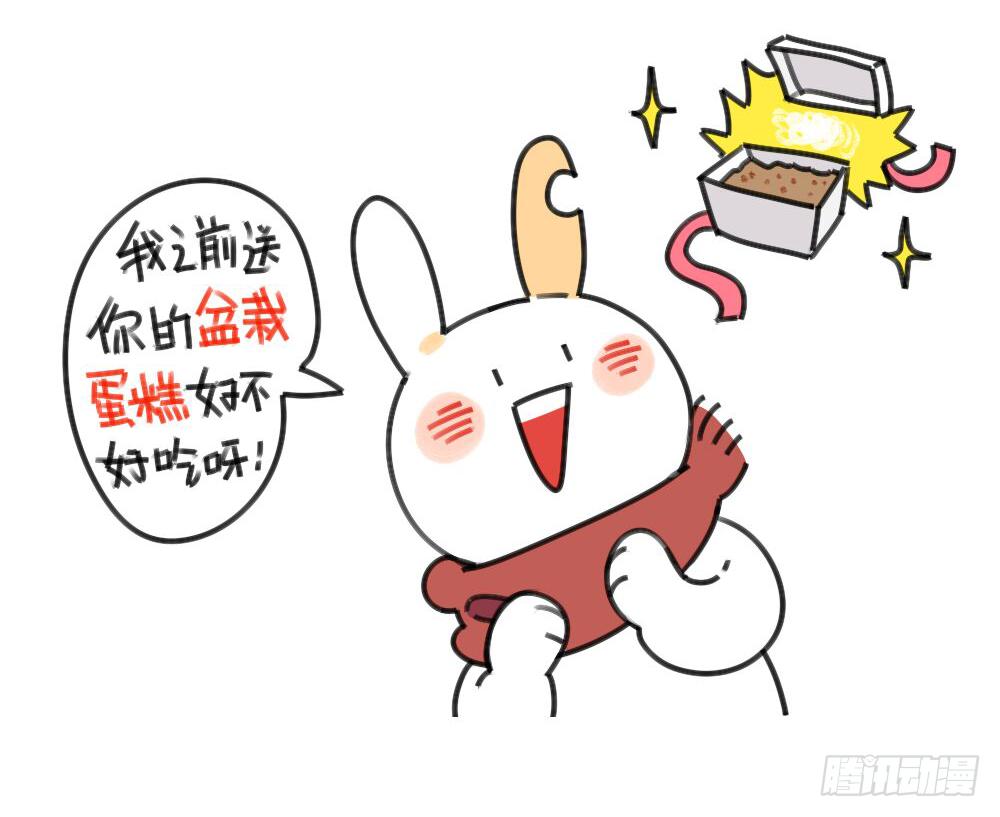 29、破耳，不按套路出牌的兔子8