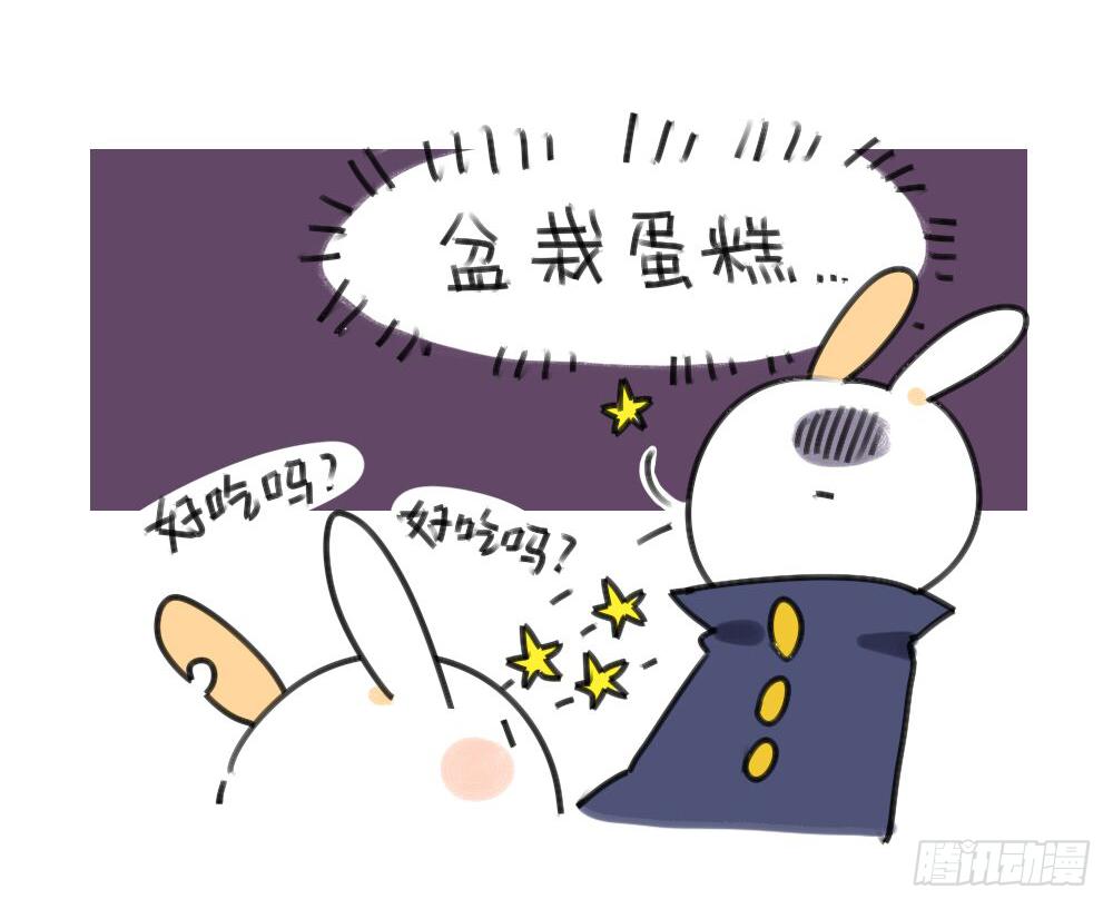 29、破耳，不按套路出牌的兔子9