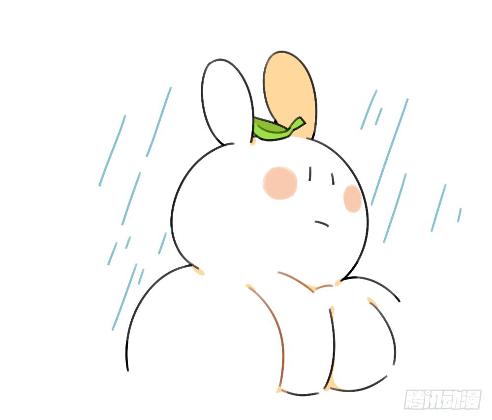 39、雨天不怕，我有花花，花花高8