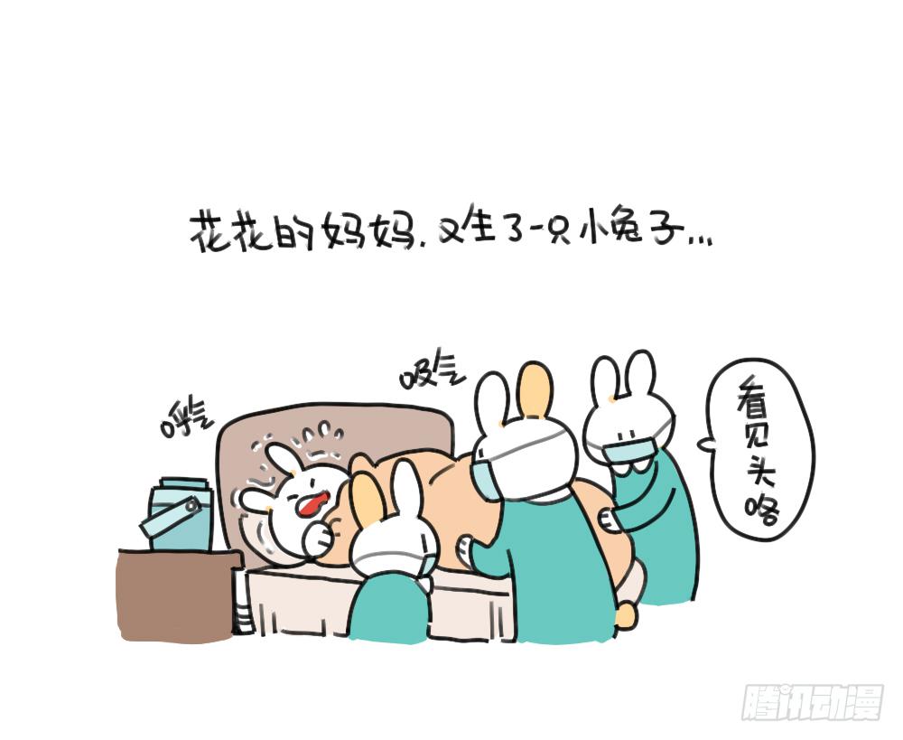 45、比小兔子更可爱的，是小小兔0