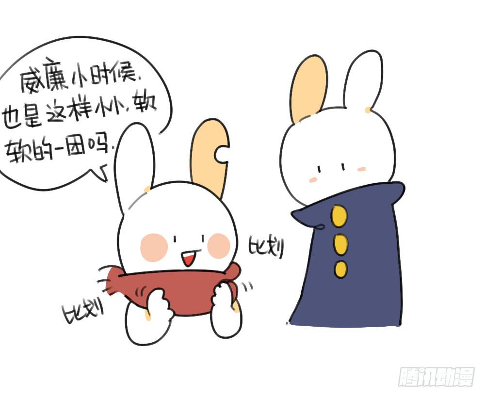 45、比小兔子更可爱的，是小小兔6