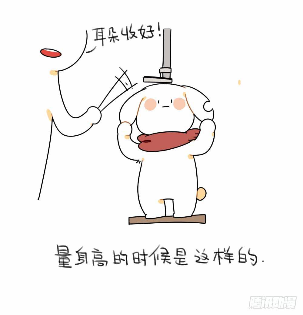 46、小兔子们的生活有很多地方和1
