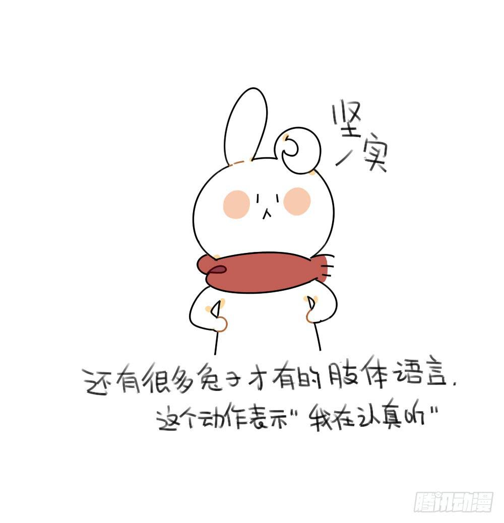 46、小兔子们的生活有很多地方和2