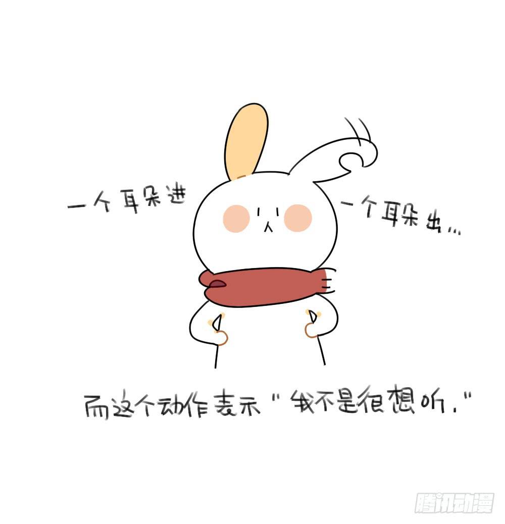 46、小兔子们的生活有很多地方和3