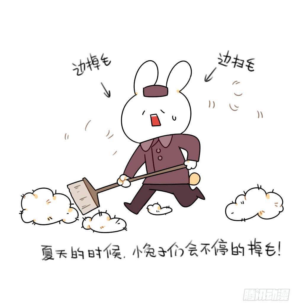 46、小兔子们的生活有很多地方和4