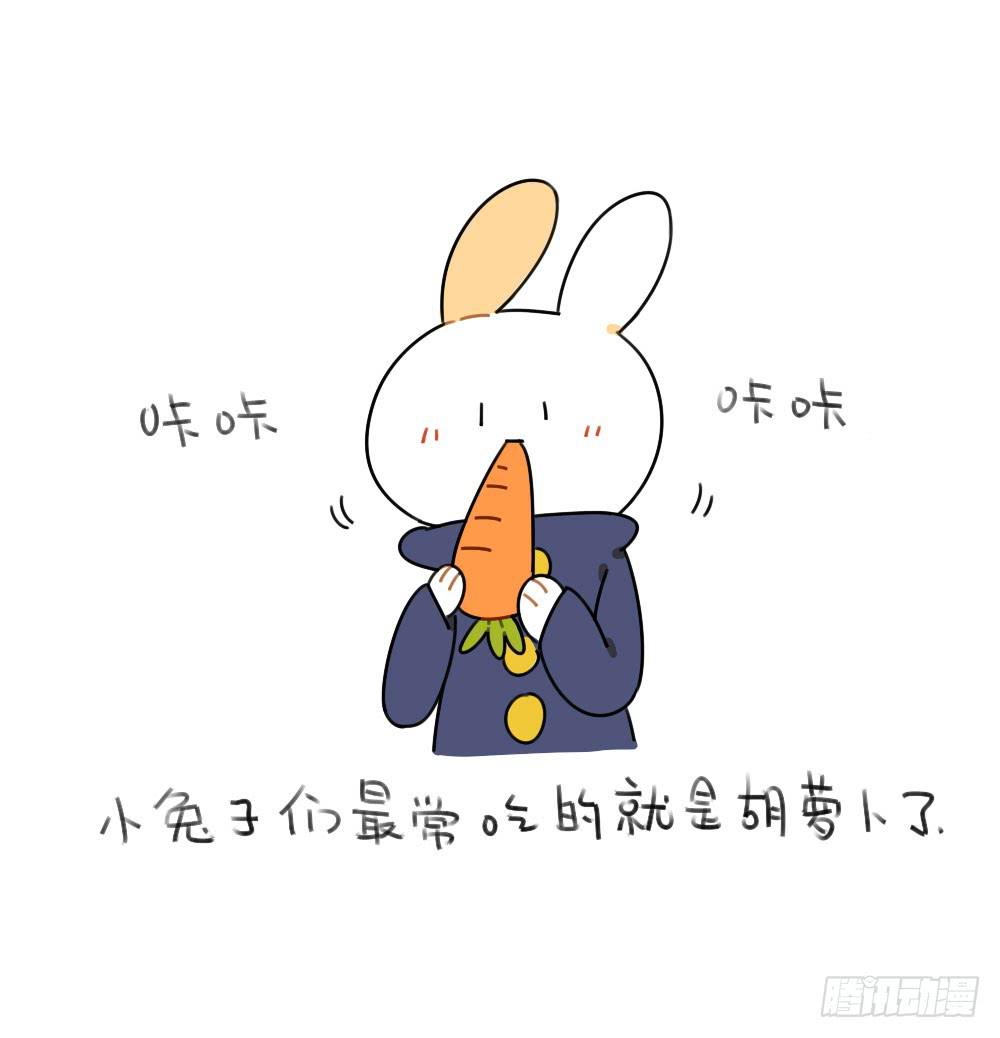 46、小兔子们的生活有很多地方和6