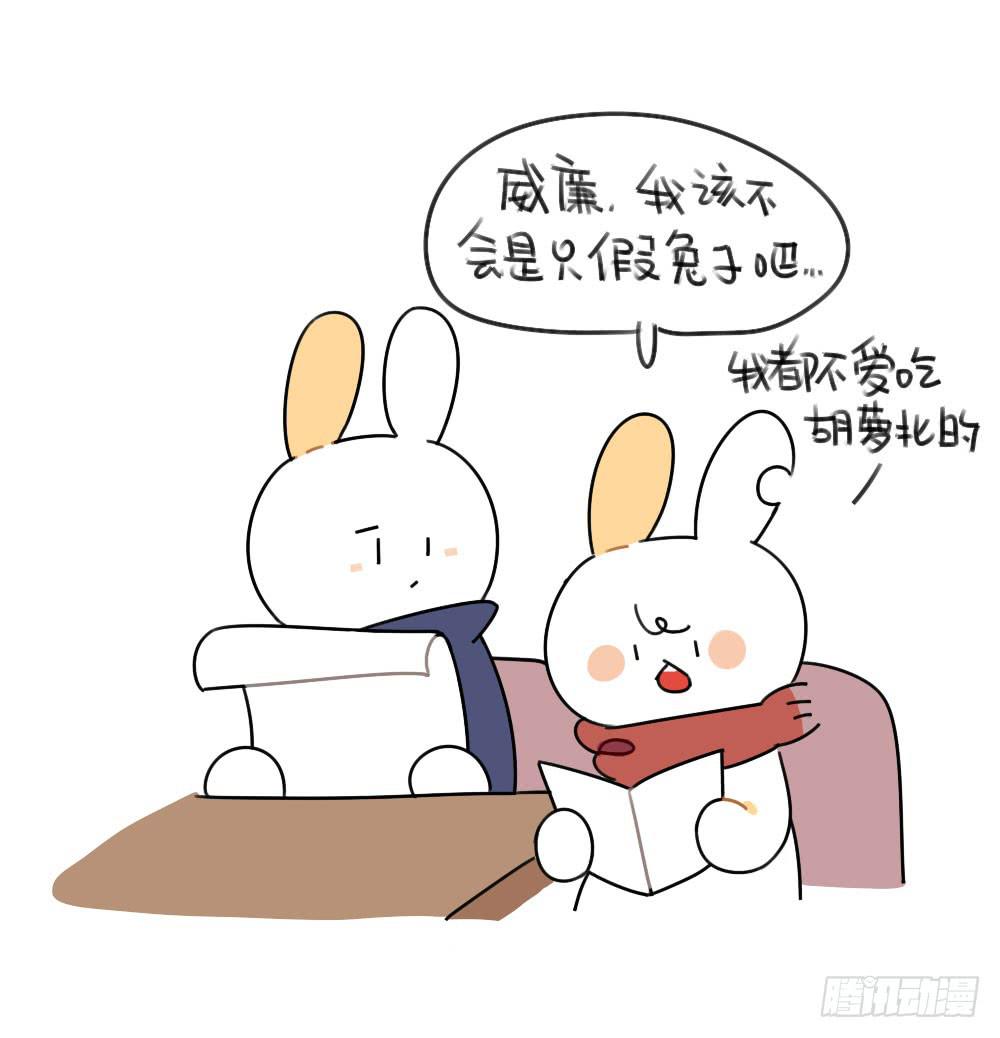 46、小兔子们的生活有很多地方和7