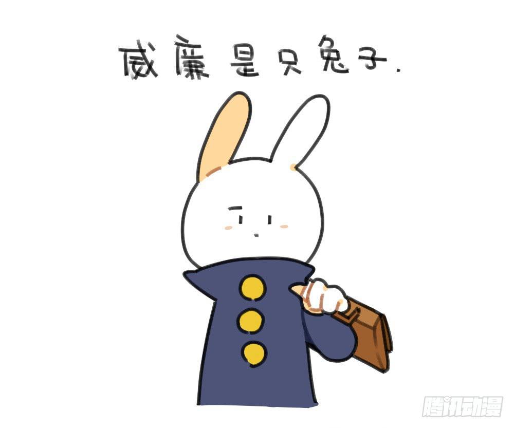 49、破耳兔想变得很酷[酷]！0