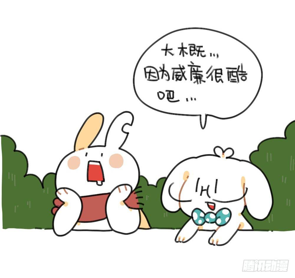 49、破耳兔想变得很酷[酷]！6
